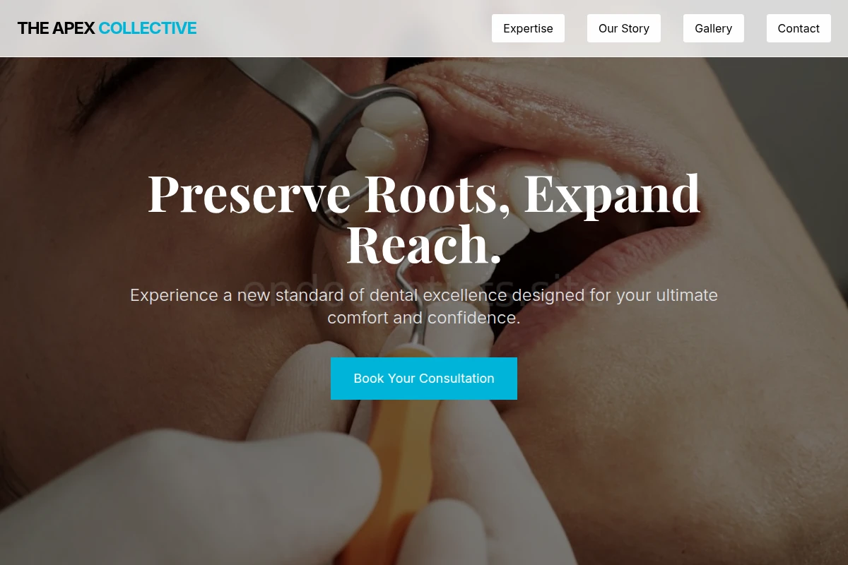 Care Dentistry
