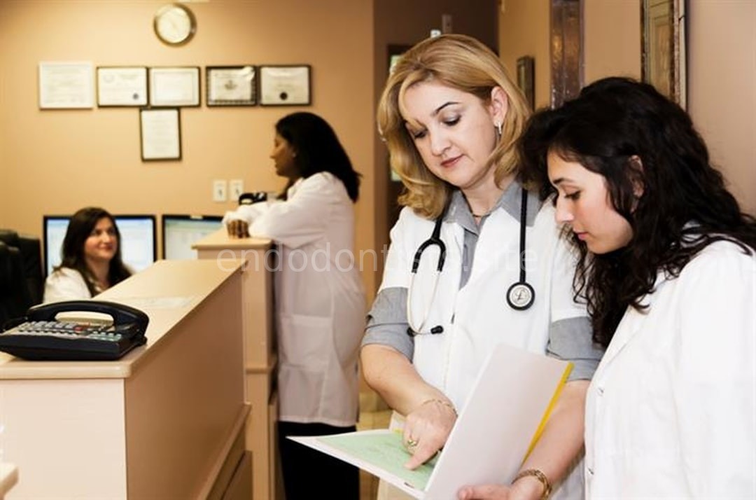 Regulatory Audits